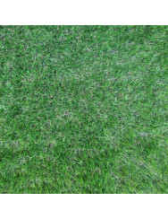 25mm Prestige 4T Artificial Grass