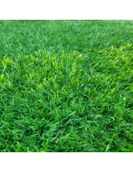 35mm Silver 3T Artificial Grass