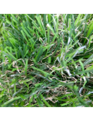 40mm Prestige 4T Artificial Grass